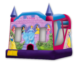 4-N1-Princess-Slide-Combo-Inflatable-w-Hoop