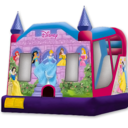 4-N1-Princess-Slide-Combo-Inflatable-w-Hoop